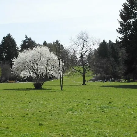 Ubytování v soukromí Pensjonat Rezydencja Parkowa