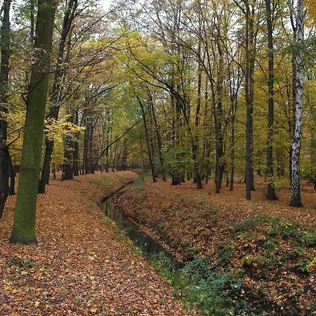 Pensjonat Rezydencja Parkowa
