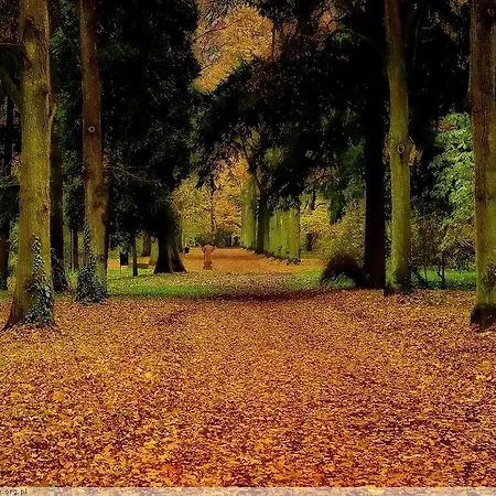 Pansiyon Pensjonat Rezydencja Parkowa Wroclaw