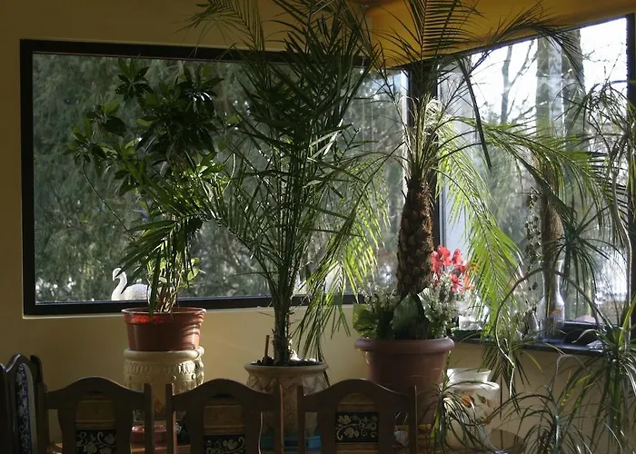 Pensjonat Rezydencja Parkowa Homestay *