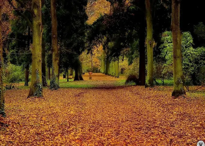 Pansiyon Pensjonat Rezydencja Parkowa Wroclaw