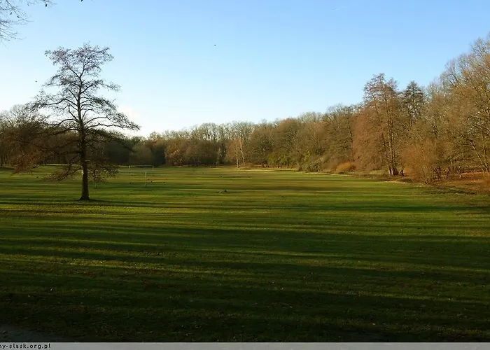 Pensjonat Rezydencja Parkowa Pansiyon